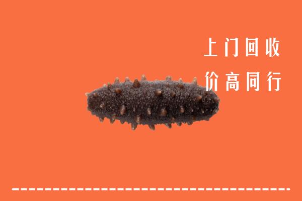 乌什县回收海参